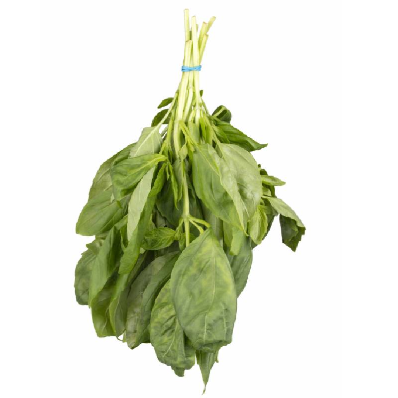 Basil